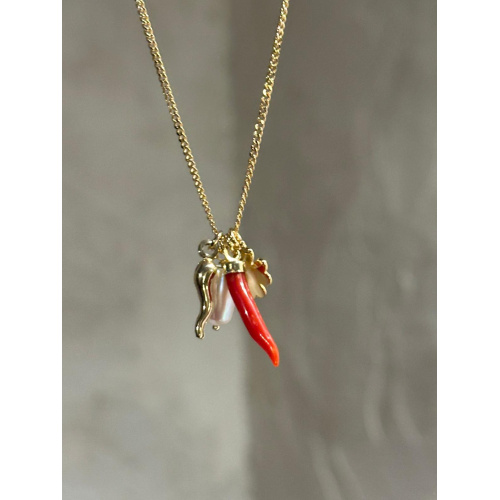 whatsapp_image_2025-11-05_at_10_39_58